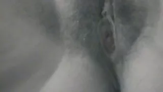 उनको गधा बकवास र दुलही.