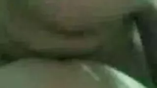 एक श्यामा मुंडा बिल्ली मा गडबड कुकुर शैली.