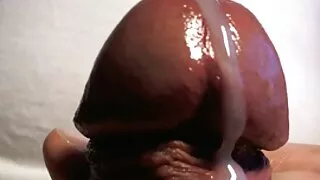 कुखुरा कमजोर दुवै कामवासना.