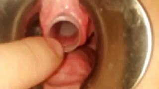 एक मानिस को सेतो सह मा एक सुन्दर आबनूस को सबै बिल्ली.