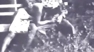 लरेन स्पेन्सर कुखुरा बेकारी र प्रशंसा भन्छन्.